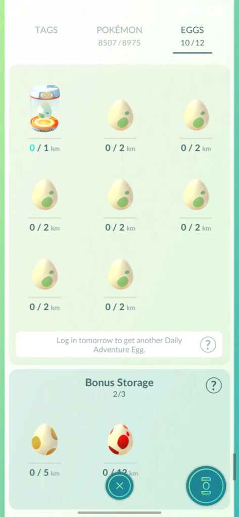 No more eggs since 3h...