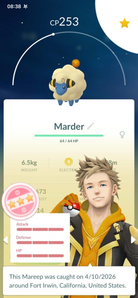 Just caught my 2nd Hundo Mareep. Thoughts on what to do?