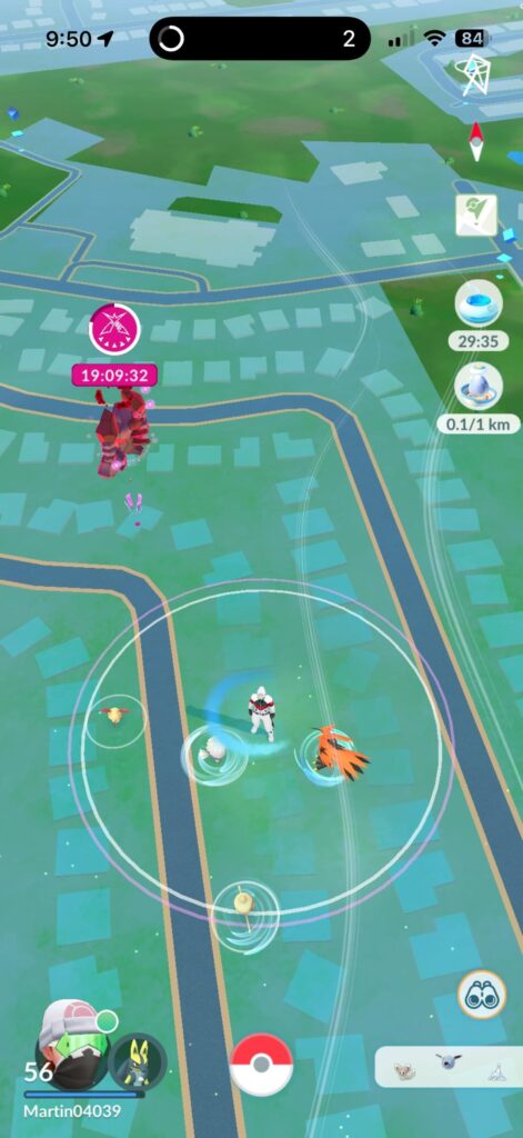 do galar birds spawn at the same places usually?