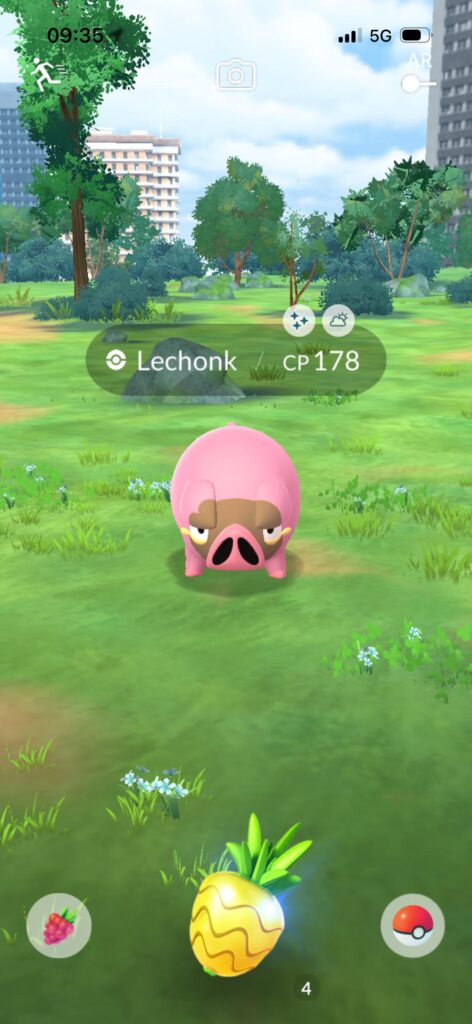 Caught shiny Lechonk at SFO today