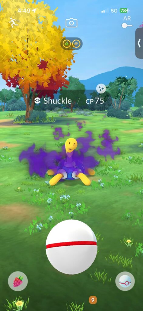 Got a nice blue turtle from a regular grunt battle