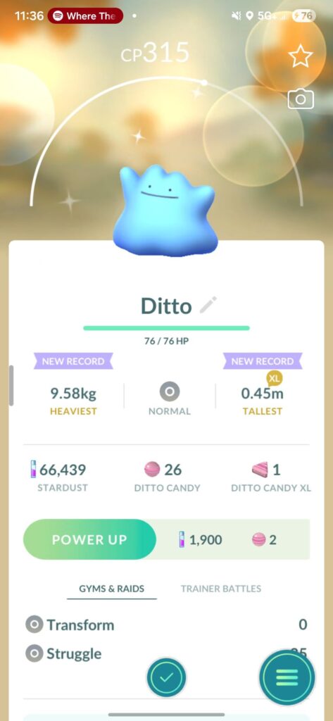Surprise Shiny Ditto