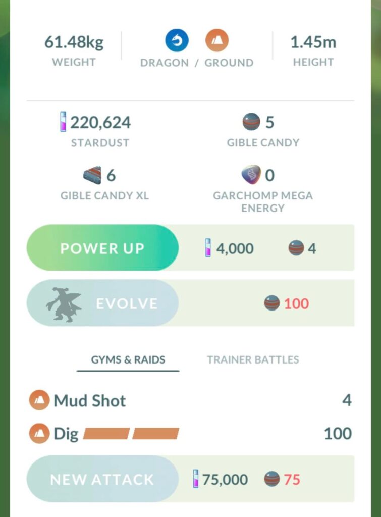 Should I give gabite a fast tm?