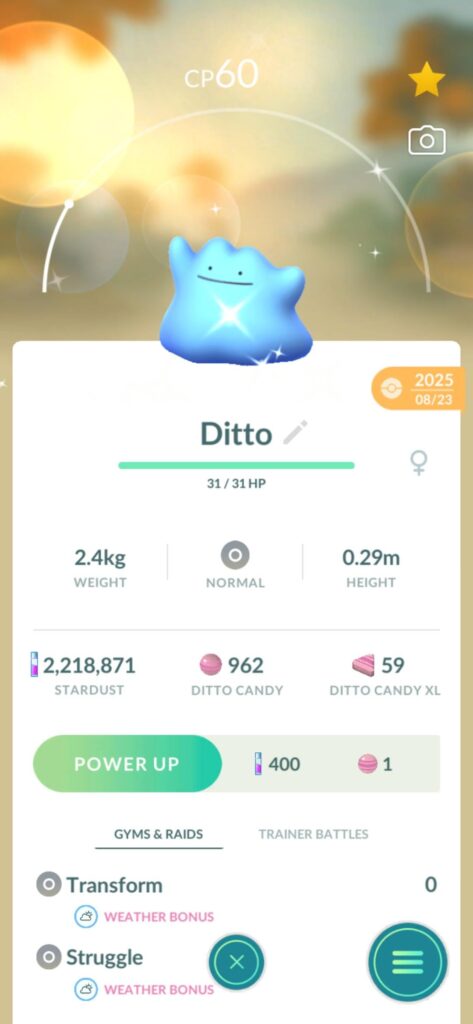 Why does my Ditto have a gender?