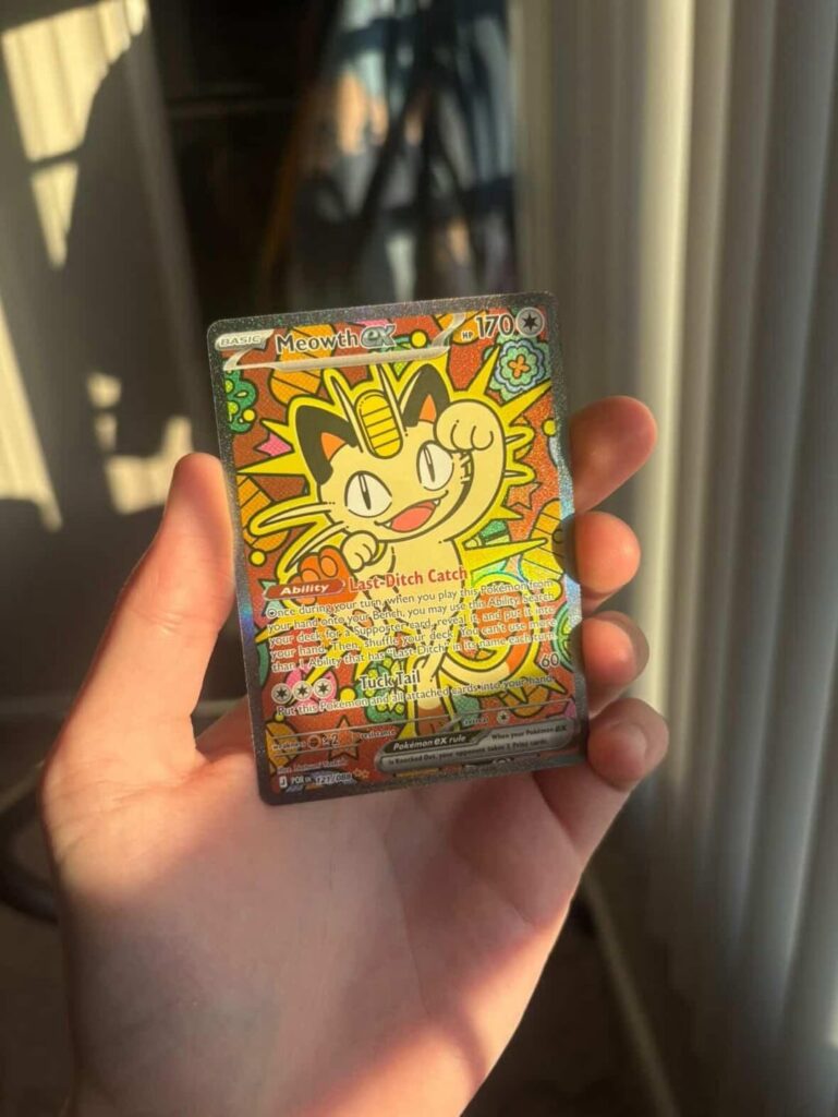 Bought our friends a couple packs for watching my dog they pulled their chase