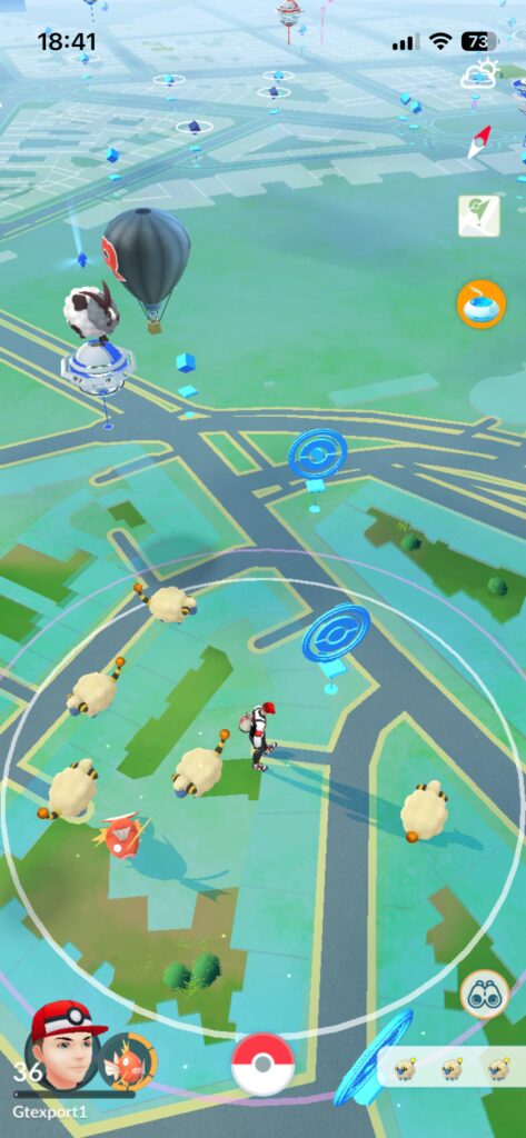 Look mom, I’m a shepherd now