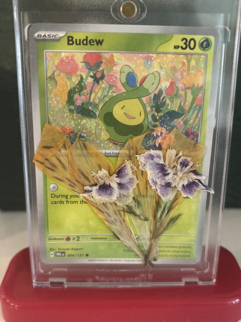 How’d I do? What other cards would look with pressed flowers/plants?