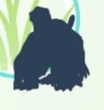 What Pokémon is this?