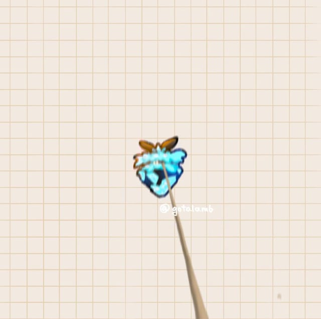 What are your first shiny catches?