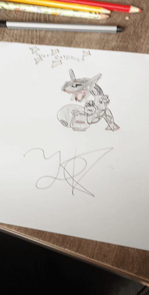 mega Rayquaza is it ruined?