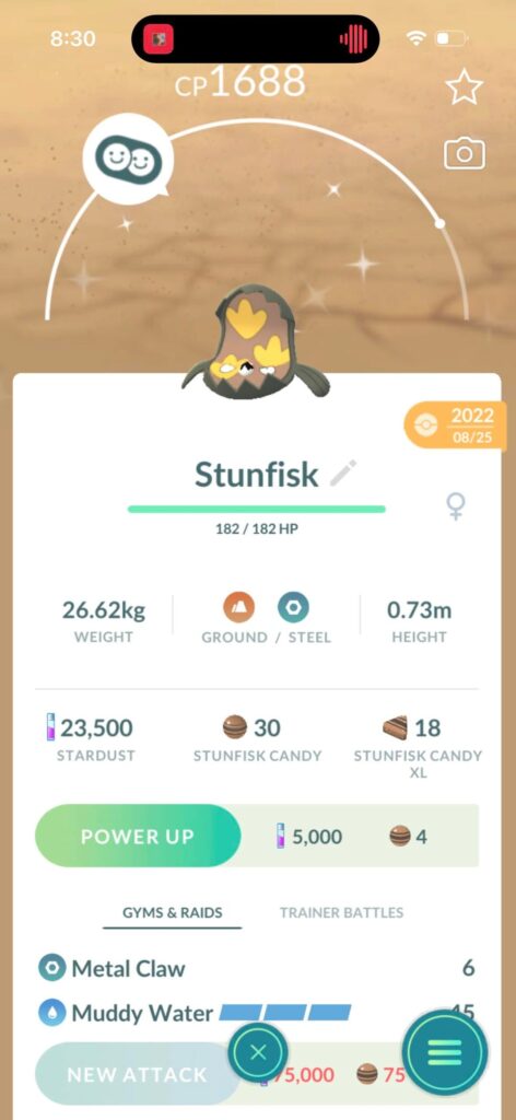 Shiney Stunnnner