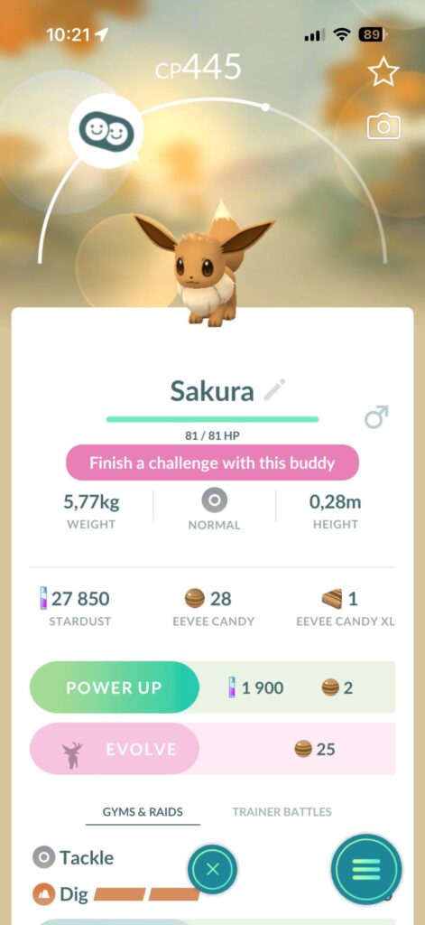 No quest appearing for eevee