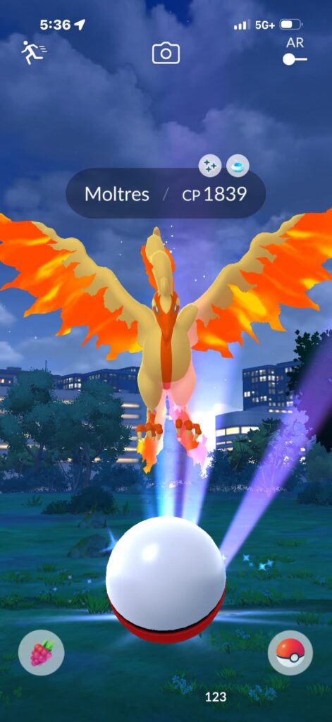 MY FIRST GALARIAN BIRD