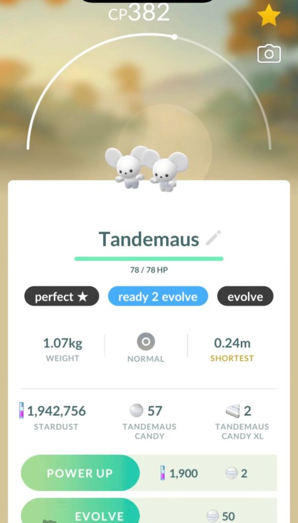 i evolved a perfect 4 Tandemaus…