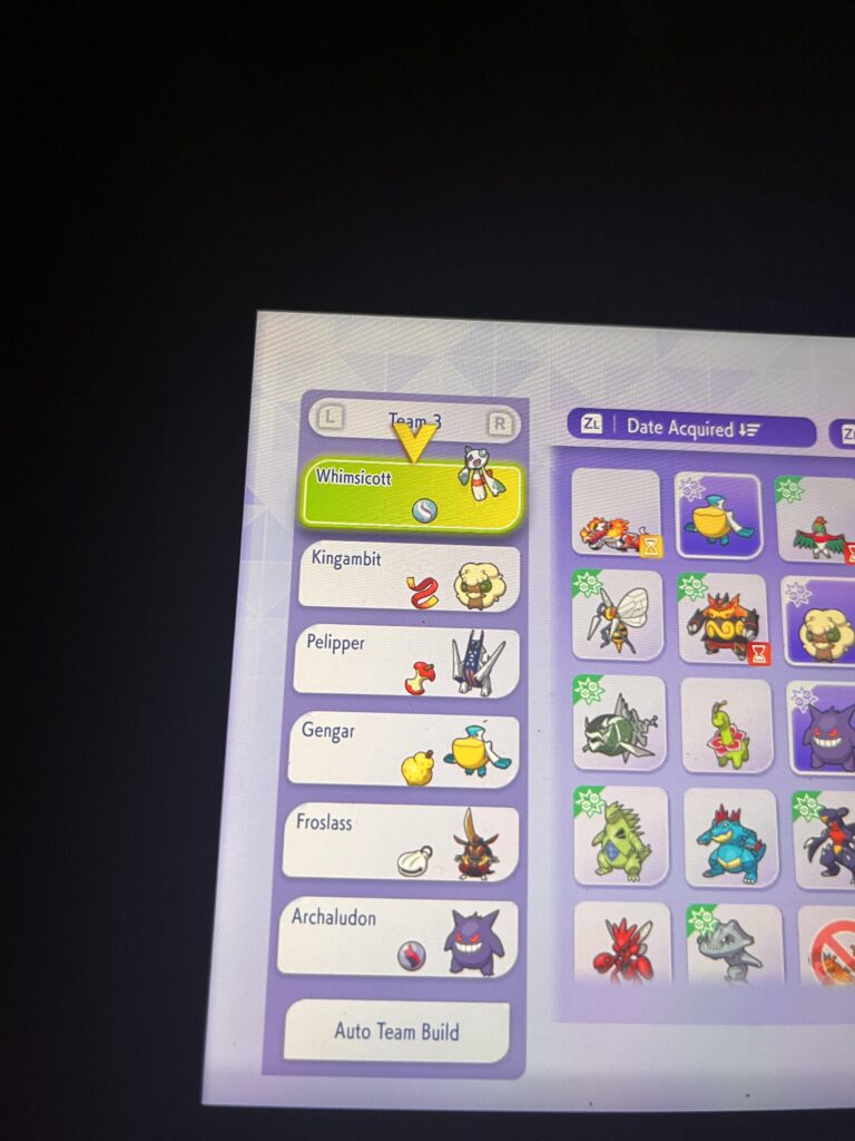 Problematic trainer