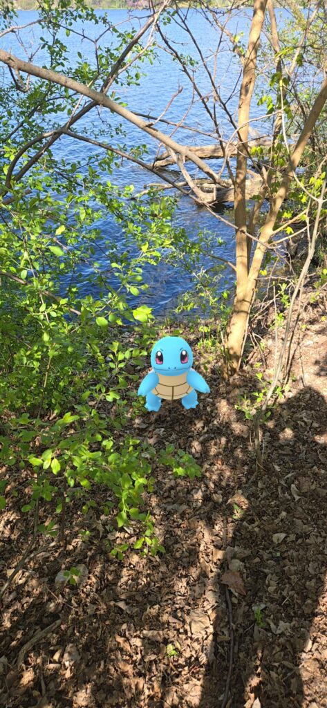 My Squirtle in his Natural Environment
