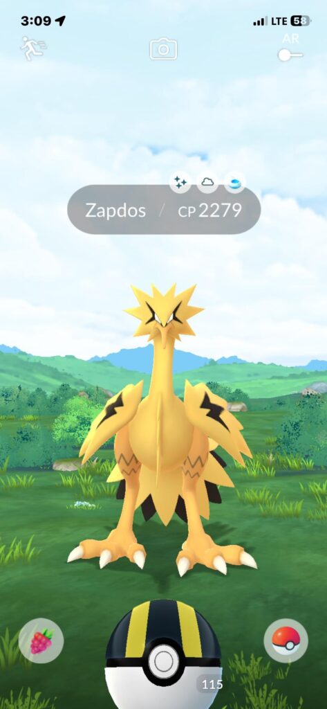 First Galarian bird I caught and it’s a shiny