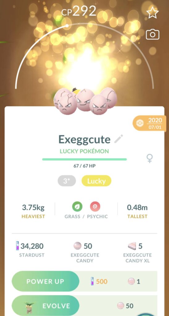 Is it better to evolve now? Or level him up first?