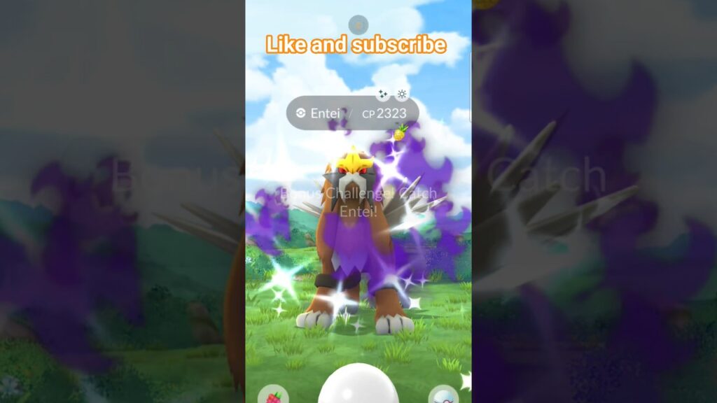 First shiny check for Entei in pokemon go!! #pokemongo #gaming #pokemon #shinypokemon #pokego #pogo