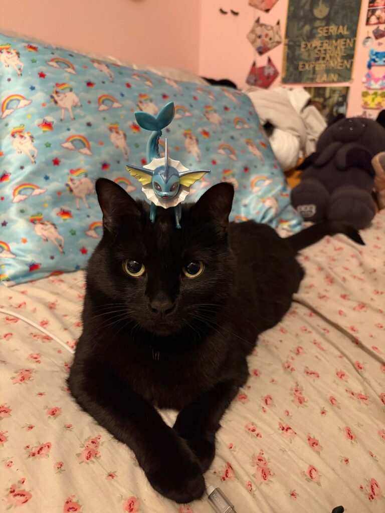 low cortisol cat is not bothered by eeveelutions