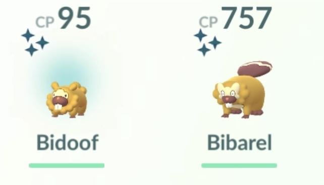 Can I quit now or is a shiny Bidoof not rare anymore?