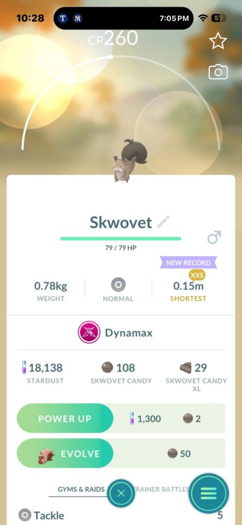 I caught a dynamax Pokemon in the wild.
