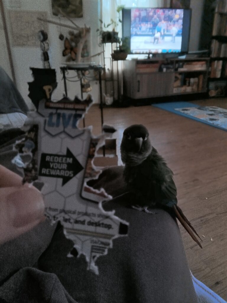 Free code card