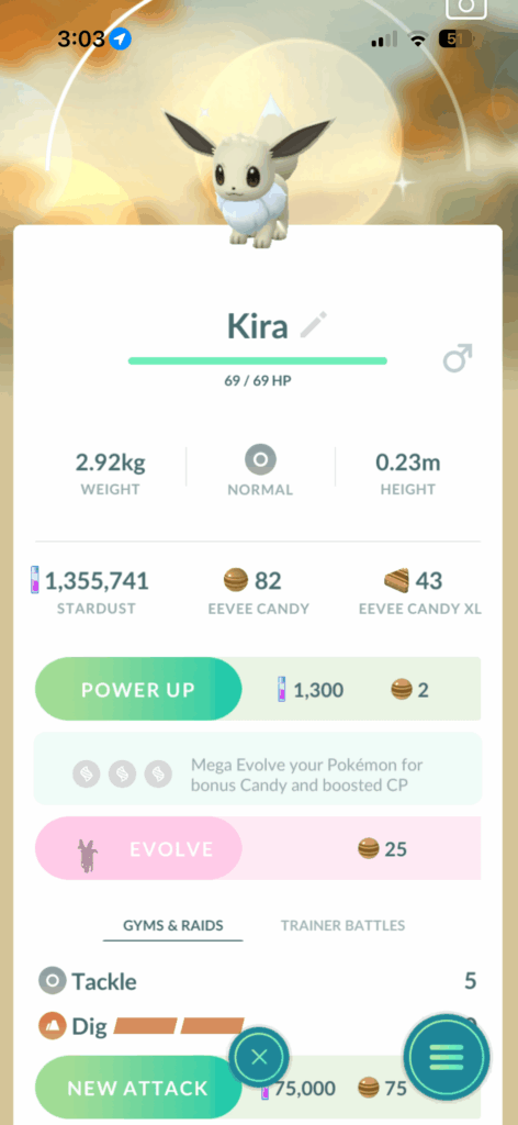 Is there going to be a mega eeveelution?