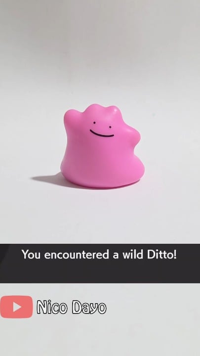 A wild Ditto use transform [OC]