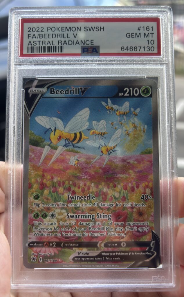 Favorite cheap card/slab