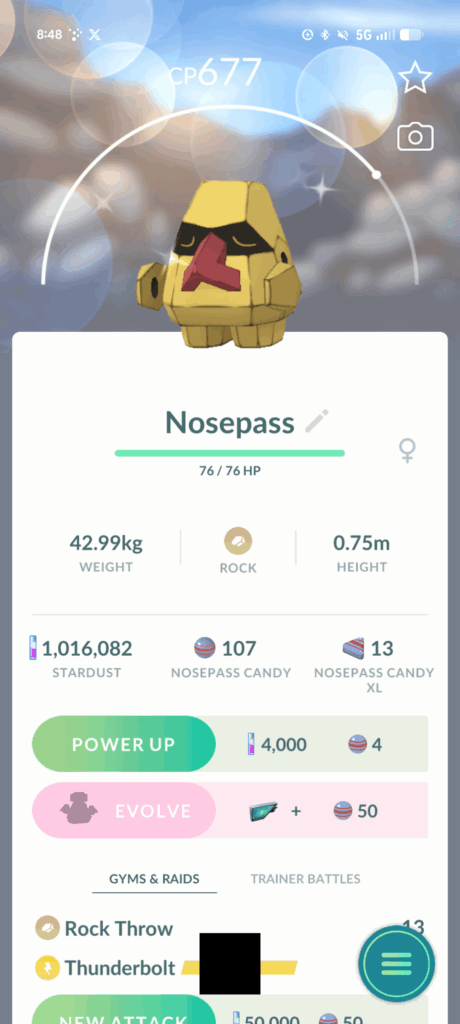 It's not just a boulder, it's a shiny rock