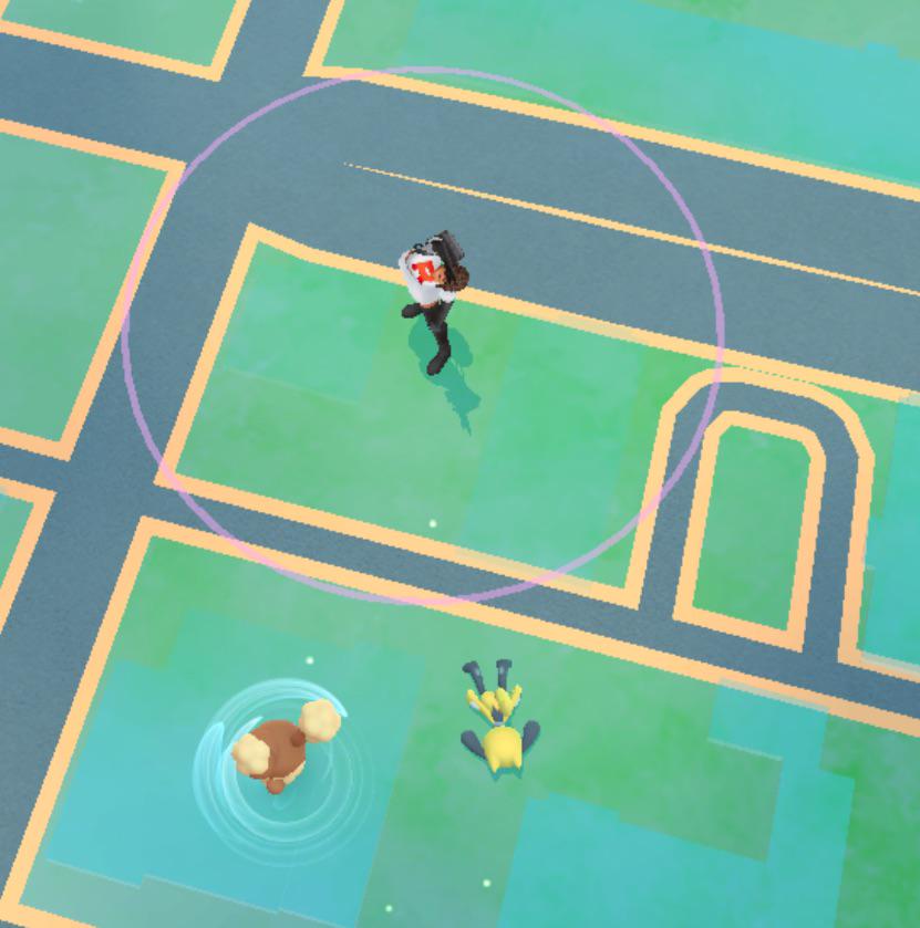 My Riolu is drunk on the floor