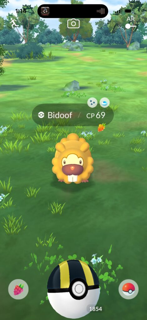 I beat the game!