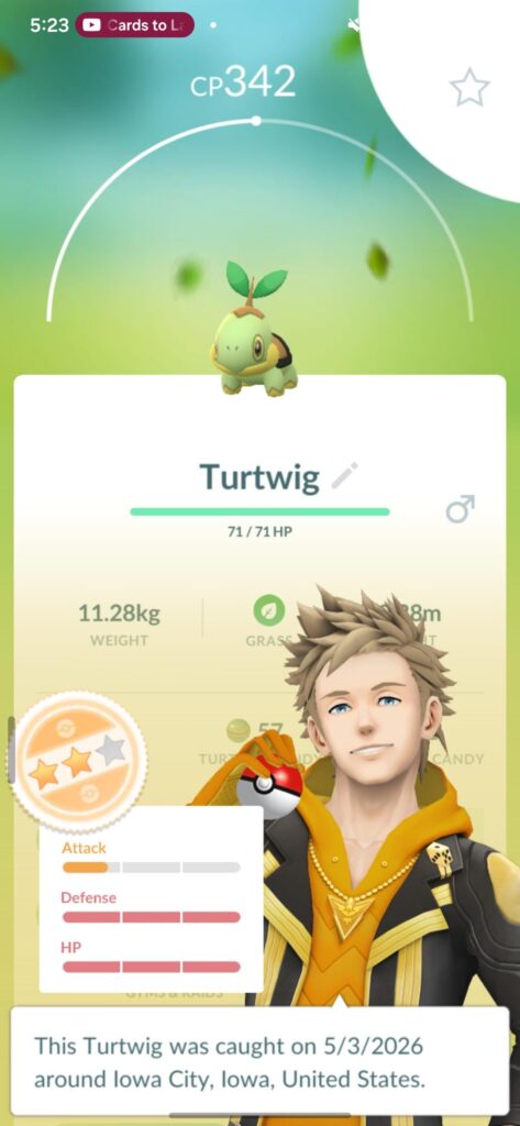 How good is Torterra in competitive? And would it be worth investing in em?