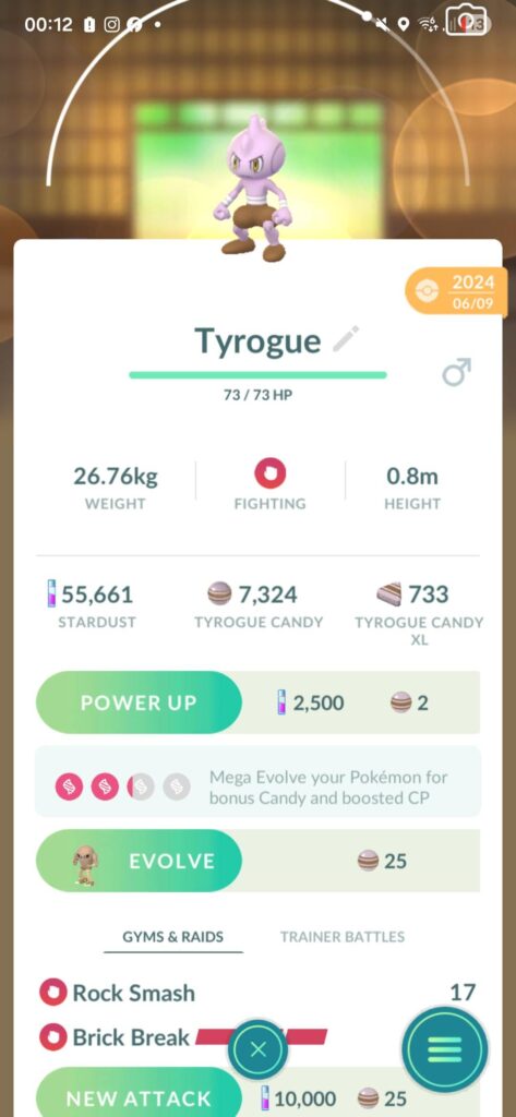 Mega Tyrogue? 🤷‍♀️