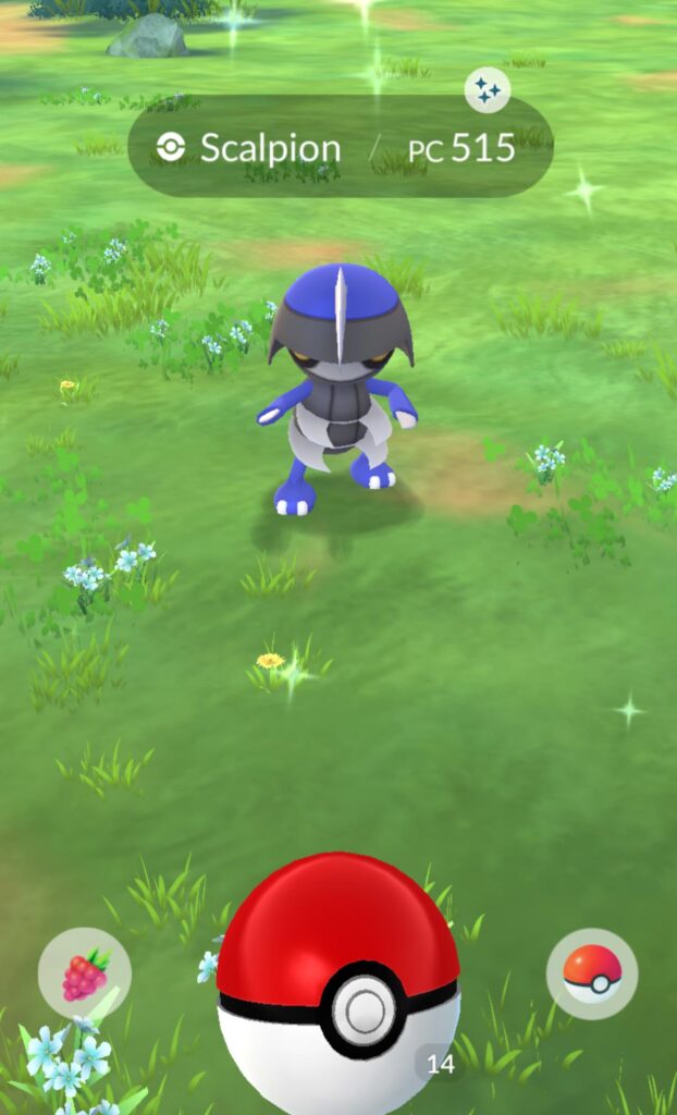 Just caught this little buddy