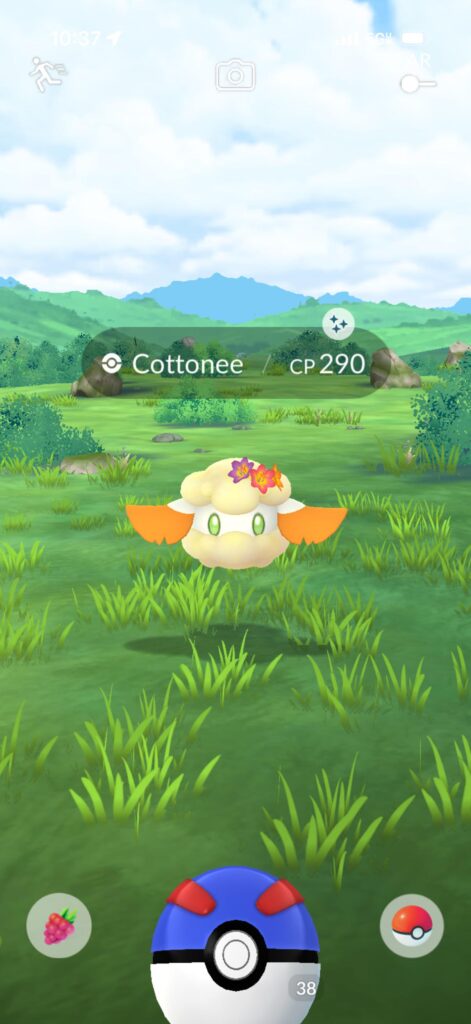 Shiny Costumed Rarity?
