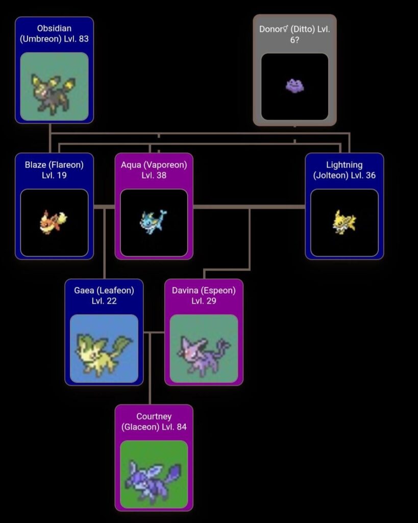 What is something wild you had in your Pokémon team?