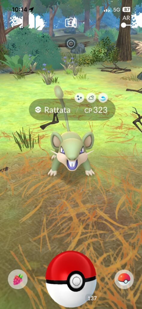 Shiny luck is crazy I’ve been waiting since 2016 for this RAT!