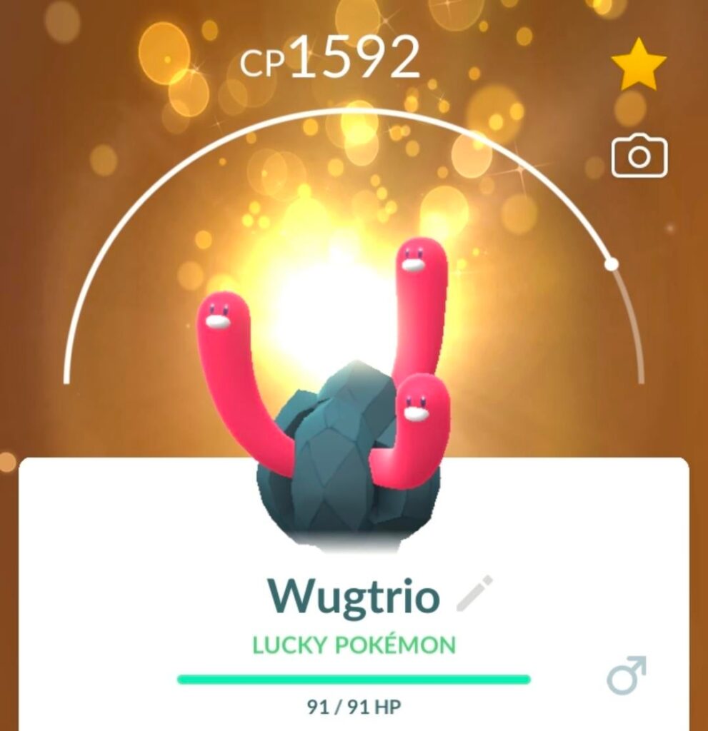 Lucky Wugtrios have the entire boulder?