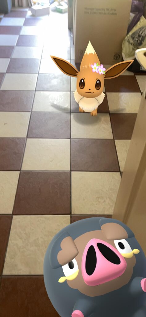 This is my first community day since returning and my teen got a Lechonk photobomb. He’s so cute!