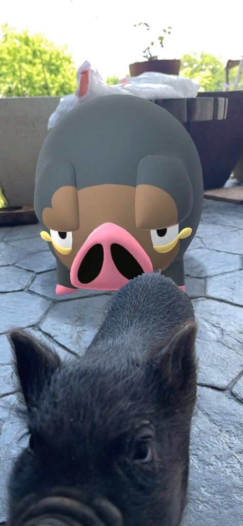 Real Life Lechonk