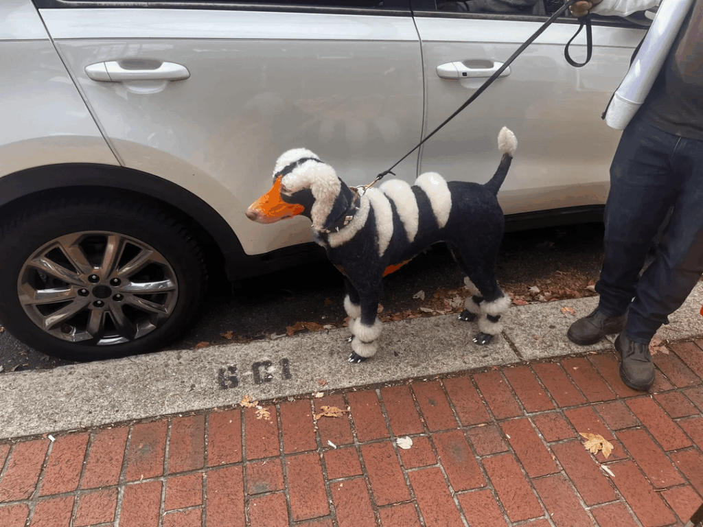 Houndoom
