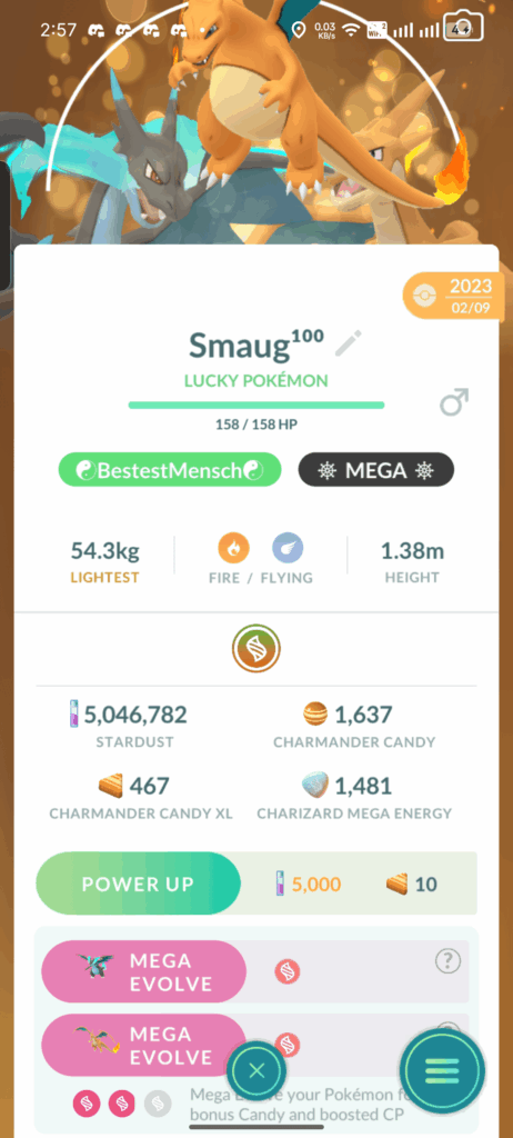 Charizard Mega energy