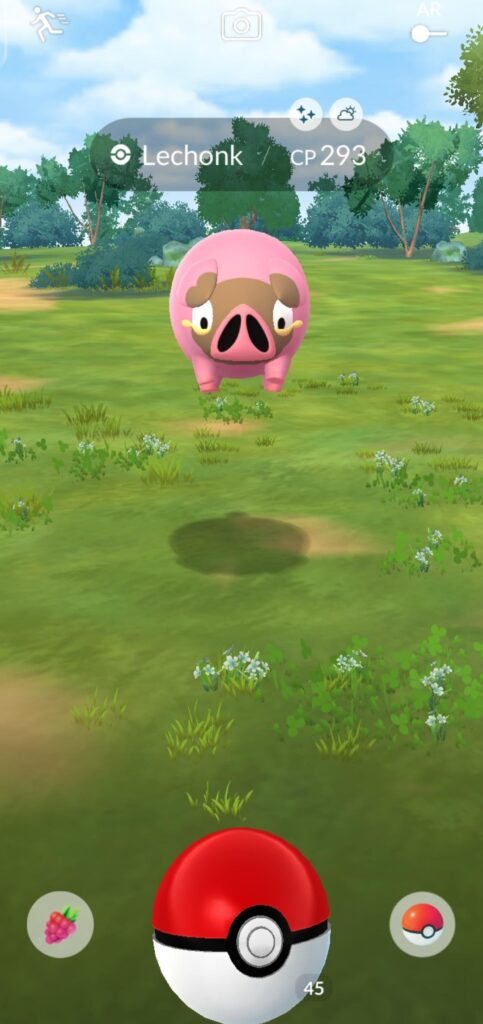 Caught my shiny chunky boy