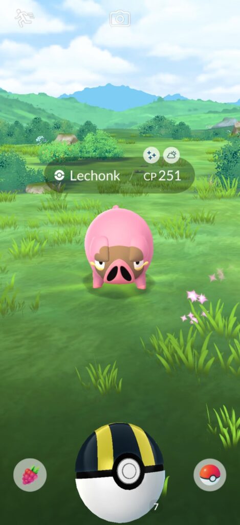 Lechiny oink oink
