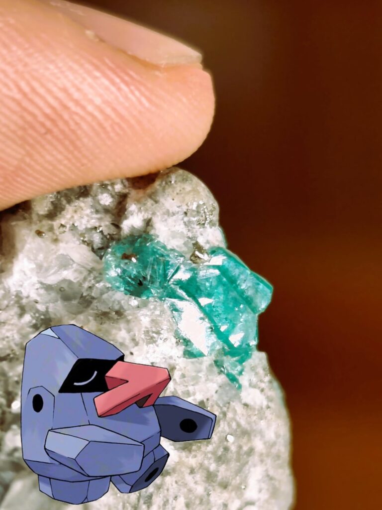 A real Nosepass