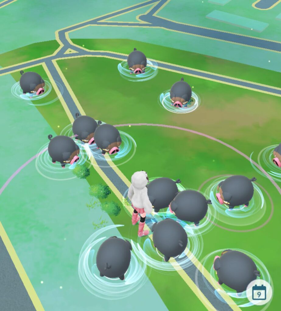 How do I catch the 30-50 feral lechonks that run into my yard within 3-5 mins while my small kids play?