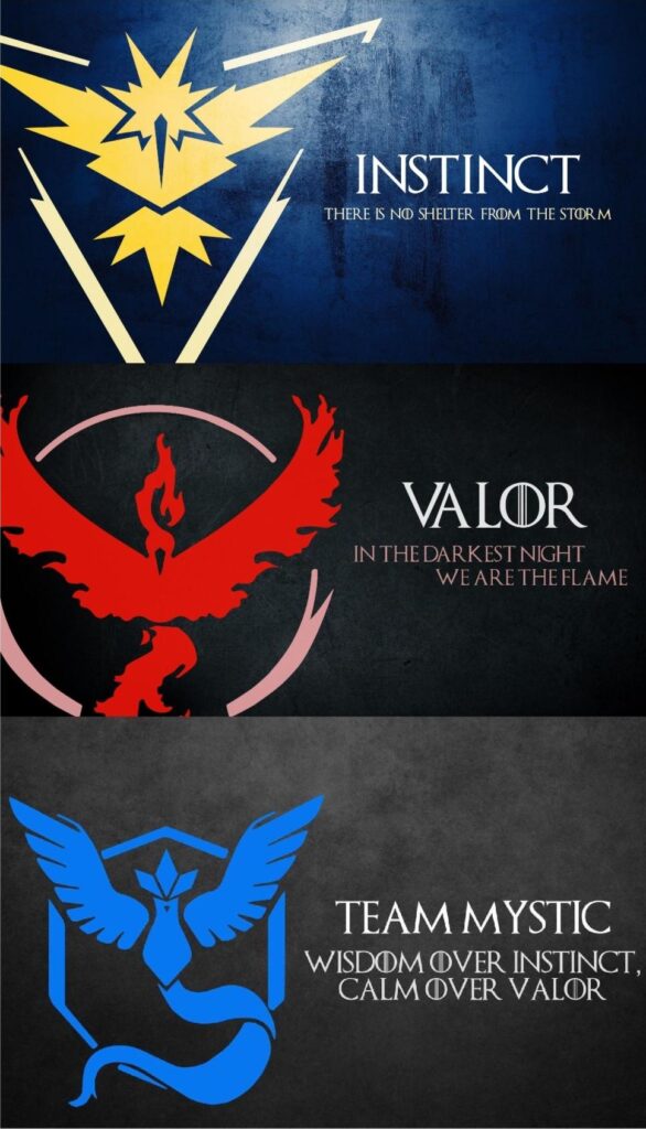 Why made you choose your pokemon team?