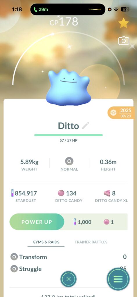 anyone else love their shitto!?